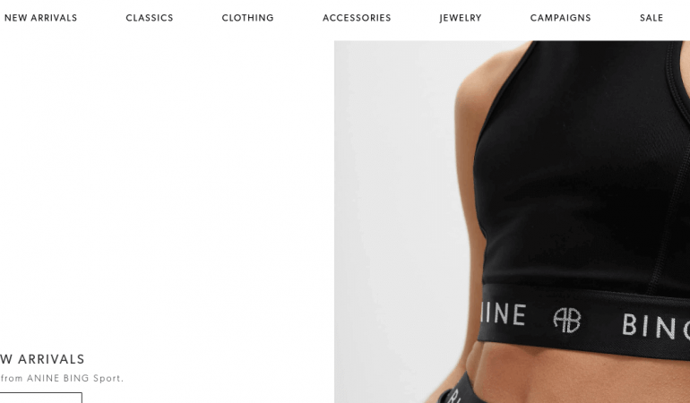 ANINE BING