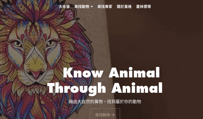 YAWNGO 異格動物拼圖